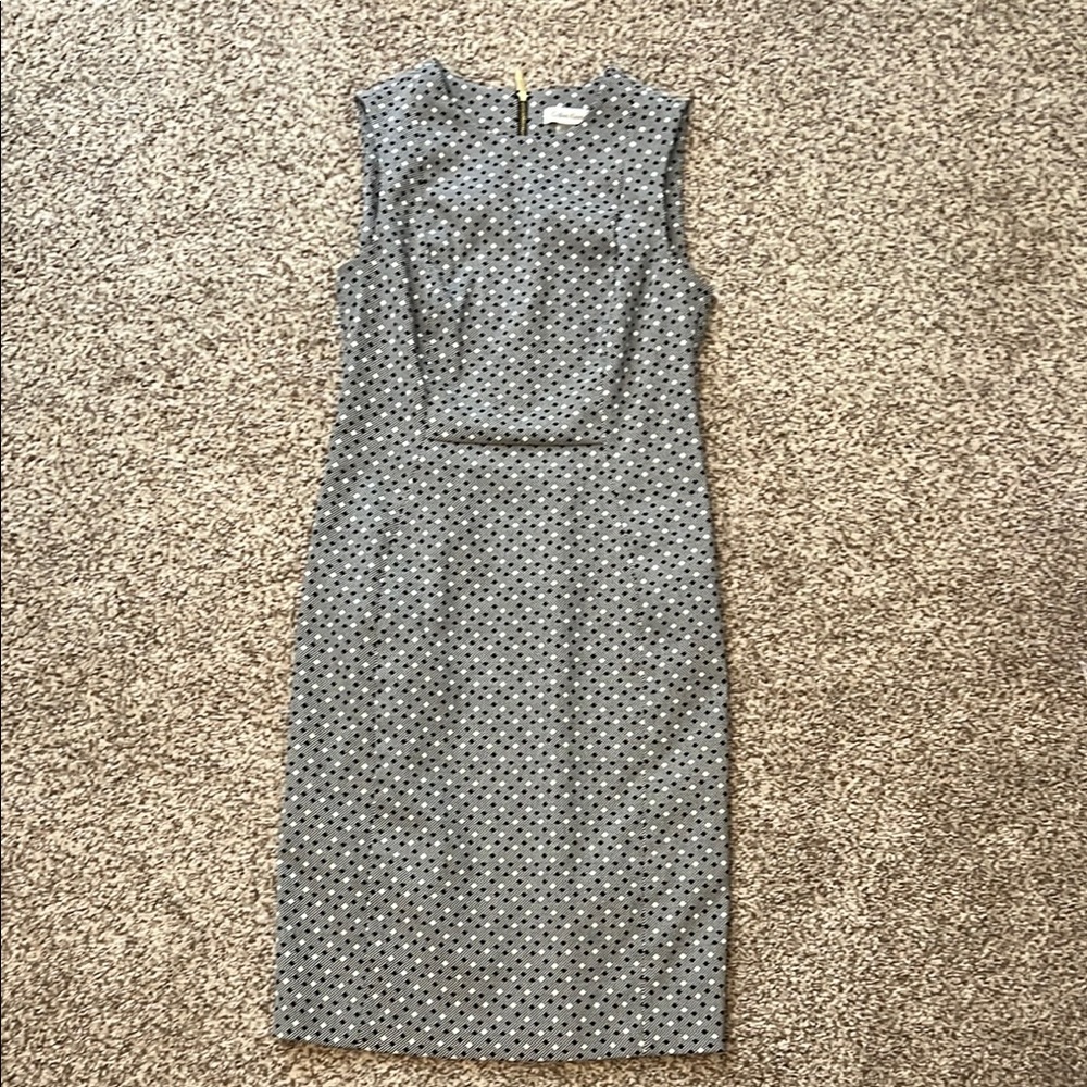 Calvin Klein Black and White Sheath Dress
